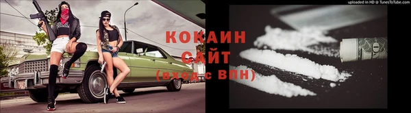 ПСИЛОЦИБИНОВЫЕ ГРИБЫ Верея