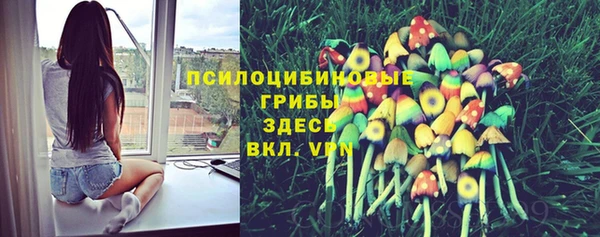 меф Володарск